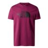 Uomo THE NORTH FACE T-Shirts | T-Shirt Easy - Maglia A Maniche Corte